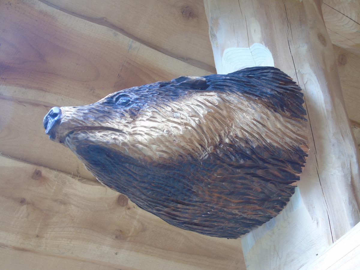 Badger'S Wood At Hoo Farm Βίλα Τέλφορντ Εξωτερικό φωτογραφία